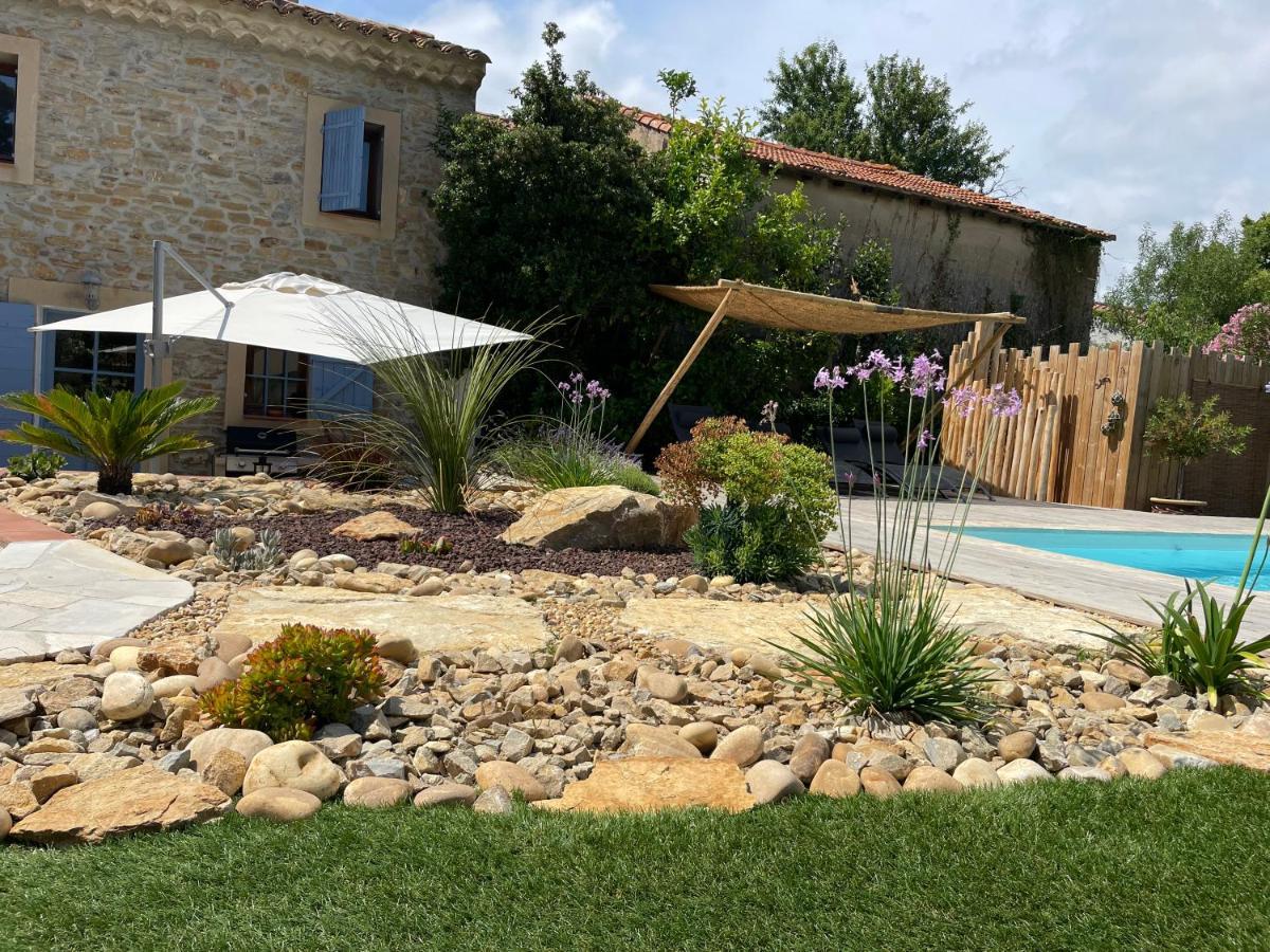 Mas Provencale Jardin Piscine Villa Saint-Cyr-sur-Mer Ngoại thất bức ảnh